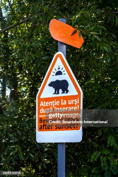 bear warning sign in transylvania, romania - romania bear stock pictures, royalty-free photos & images