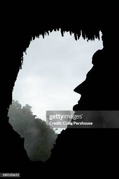 'abraham lincoln's profile', in deer cave - deer cave stockfoto's en -beelden
