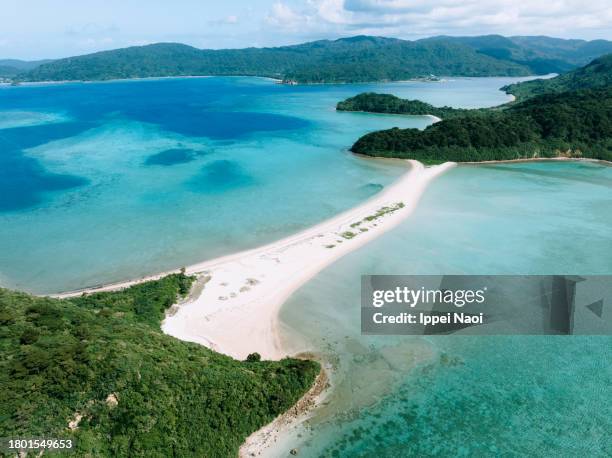 aerial view of tropical beach, iriomote island, okinawa, japan - okinawa blue sky beach landscape stock-fotos und bilder