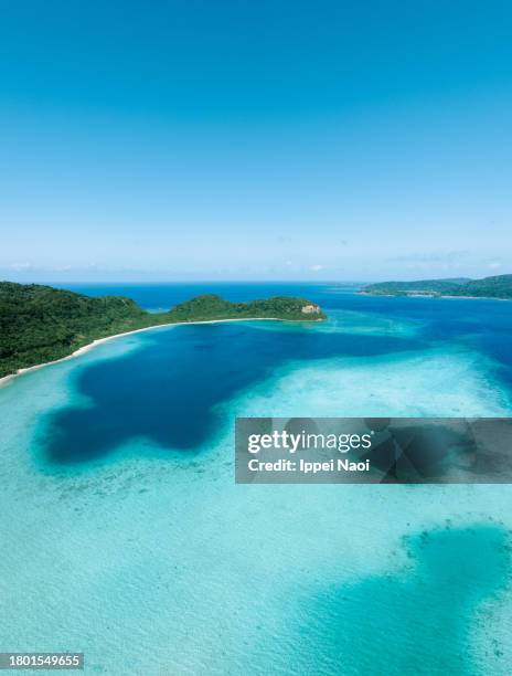 aerial view of tropical lagoon, iriomote island, okinawa, japan - lagon photos et images de collection