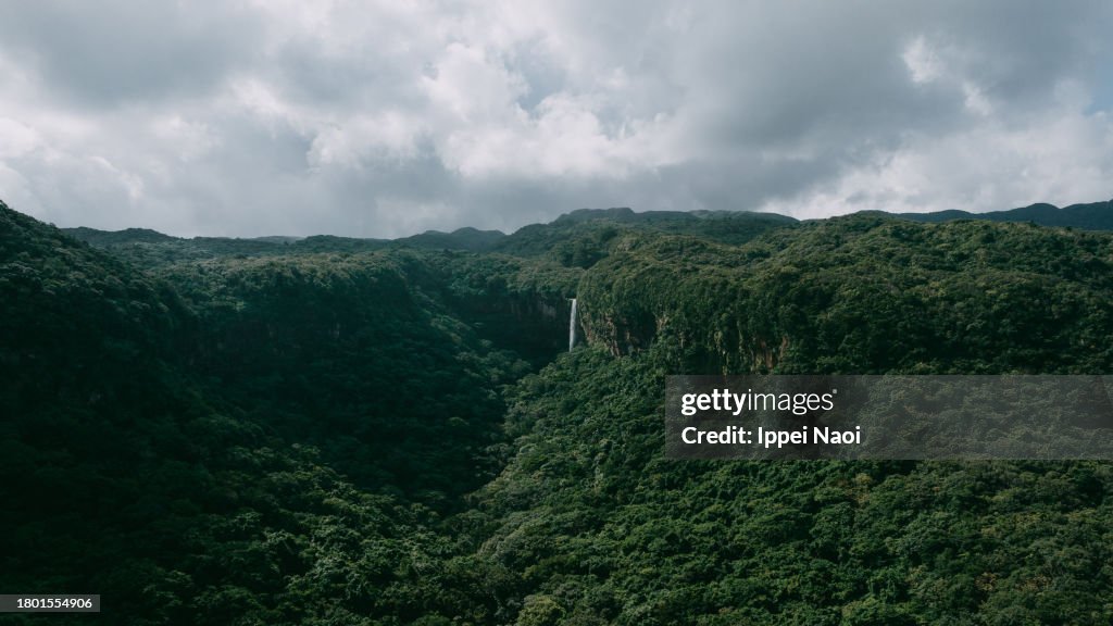 Tropical rainforest and waterfall from above, Iriomote Island, Okinawa, Japan