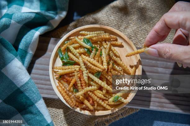 a hand picking a cooked bamboo worm - insect eating stock pictures, royalty-free photos & images