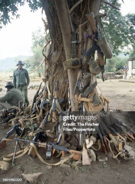 Arms belonging to the ZIPRA guerillas stacked up in the bush at Camp Papa, circa March 1980.