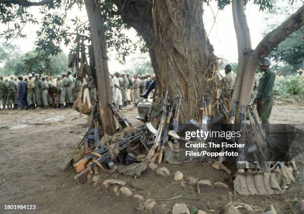 Arms belonging to the ZIPRA guerillas stacked up in the bush at Camp Papa, circa March 1980.