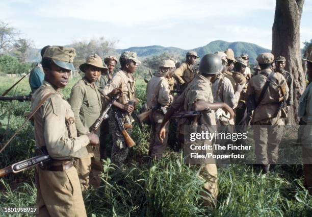 Armed ZIPRA guerillas at an assembly point at Camp Papa in the bush on 27th February 1980.