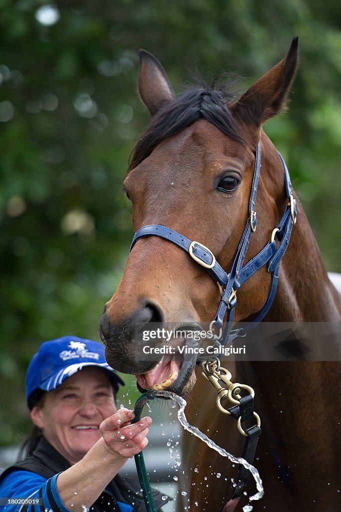 Flemington Trackwork Session