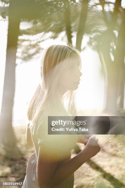 portrait of a young woman with natural sun light in woodland. - rim light portrait stock pictures, royalty-free photos & images