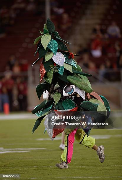 William Rothacker Jr Stanford Mascot Tree Photos and Premium High Res Pictures - Getty Images