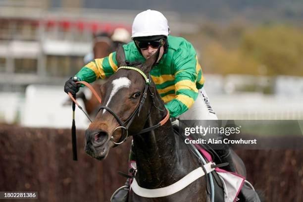 Nico de Boinville riding Jonbon clear the last to win The Shloer Chase at Cheltenham Racecourse on November 19, 2023 in Cheltenham, England.