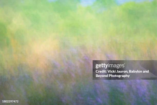 83,205 Spring Texture Stock Photos, High-Res Pictures, and Images ...