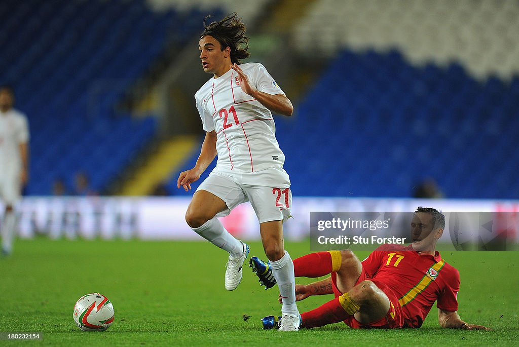 Wales v Serbia - FIFA 2014 World Cup Qualifier