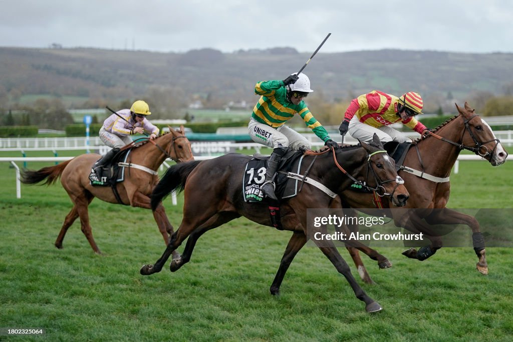 Cheltenham Races