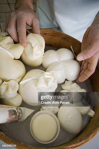 burrata, mozzarella and treccia - mozzarella stock pictures, royalty-free photos & images