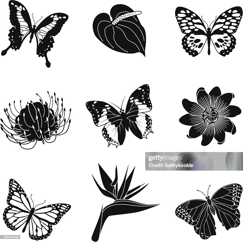 Tropical flowers and butterflies