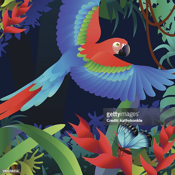 flying parrot and heliconia - amazon region stock illustrations