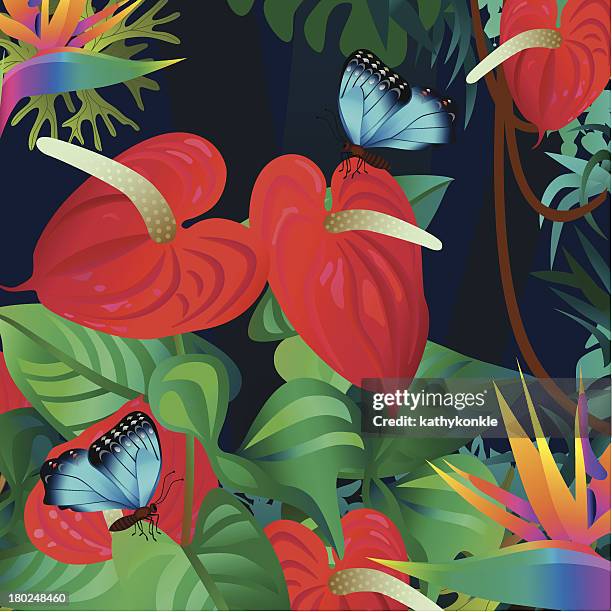 anthurium and morpho butterflies - anthurium stock illustrations