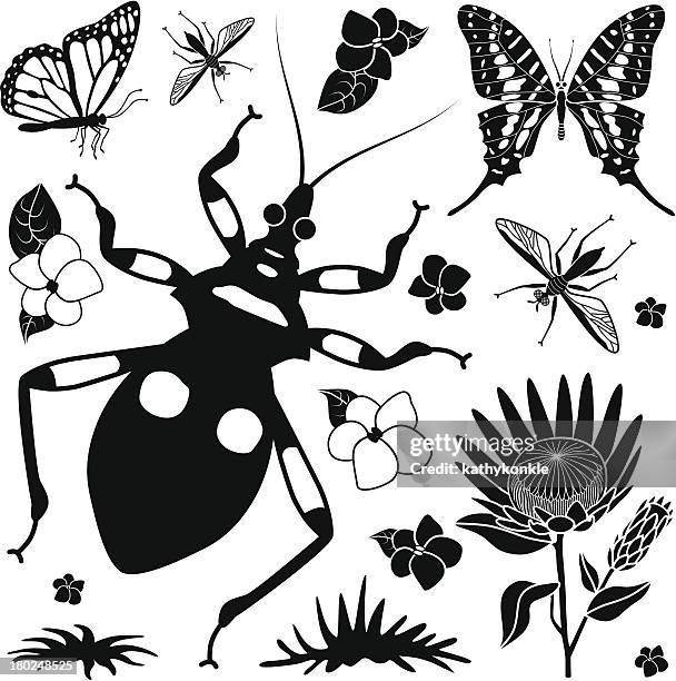 tropische insekten design-elemente - swallowtail butterfly stock-grafiken, -clipart, -cartoons und -symbole