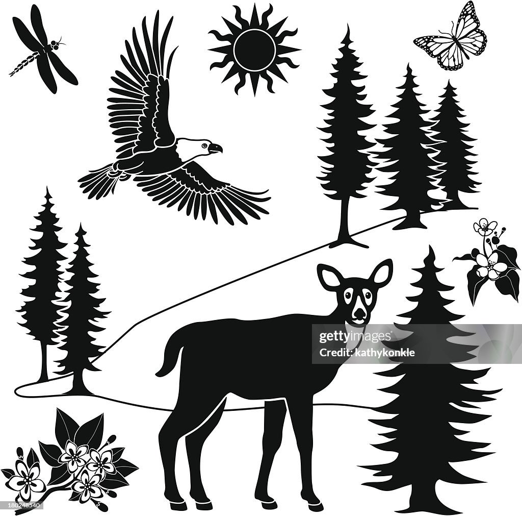 Forest design elements