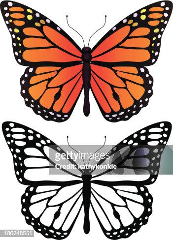 Top 70+ imagen dibujos de mariposas monarcas