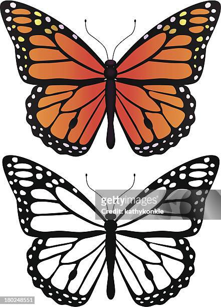 683 Ilustraciones de Mariposa Monarca - Getty Images