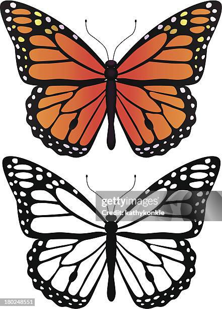 683 Ilustraciones de Mariposa Monarca - Getty Images 683 Ilustraciones de Mariposa Monarca - Getty Images