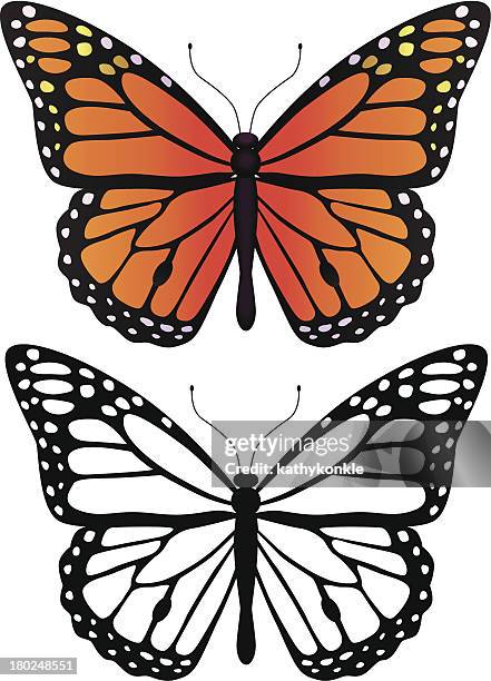 ilustraciones, imágenes clip art, dibujos animados e iconos de stock de mariposa monarca - mariposa monarca