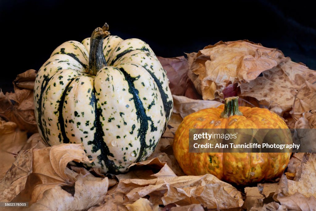 Pumpkin and squash