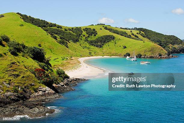 waewaetorea island - aerial - bay of islands stock pictures, royalty-free photos & images