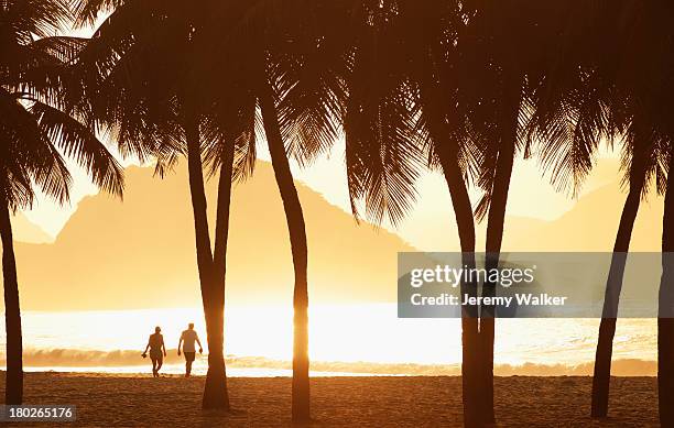 rio de janeiro - copacabana beach stock pictures, royalty-free photos & images