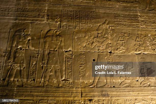 ancient egyptian bass relief representing goods horus,thoth and the pharaoh . horus temple, edfu, egypt - thoth stock pictures, royalty-free photos & images