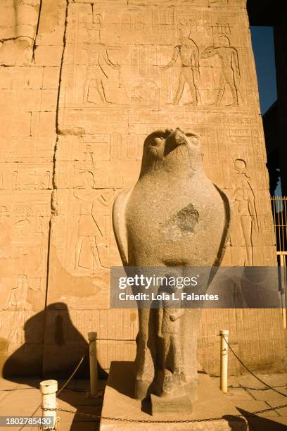 589 Egyptian Hawk Stock Photos High Res Pictures And Images Getty 589-egyptian-hawk-stock-photos-high-res-pictures-and-images-getty