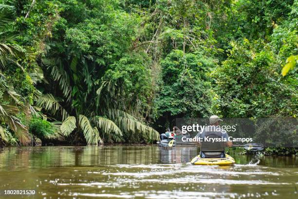 exploring tropical rainforest: tourists canoeing in tortuguero canals - costa rica - provincia de limón fotografías e imágenes de stock