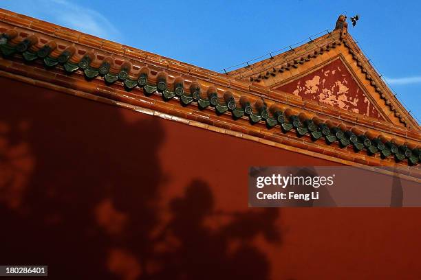 Magpie lands on the roof of Imperial Ancestral Temple inside Shenyang Imperial Palace on September 8, 2013 in Shenyang of Liaoning Province, China....