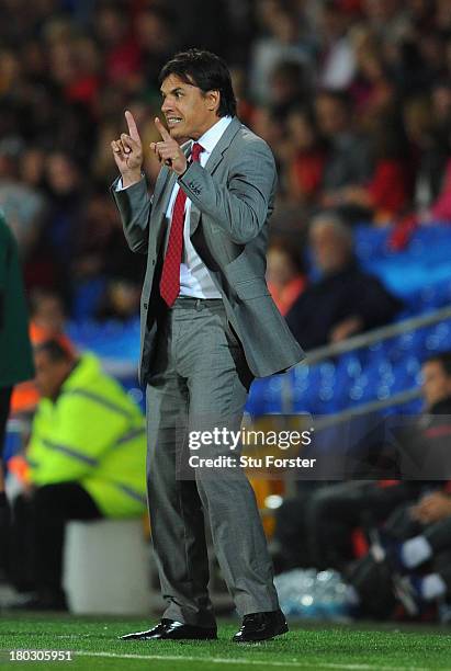 Wales coach Chris Coleman reacts during the FIFA 2014 World Cup Qualifier Group A match between Wales and Serbia at Cardiff City Stadium on September...