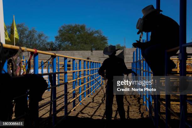 Teenager practices roping in the chutes during the third competition date of the Sonora Rodeo circuit on November 19, 2023 in Moctezuma, Mexico.