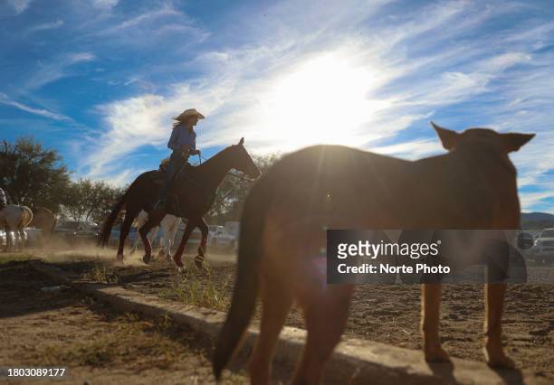 Dog looks on while competitors warm up their horses during the third competition date of the Sonora Rodeo circuit on November 19, 2023 in Moctezuma,...