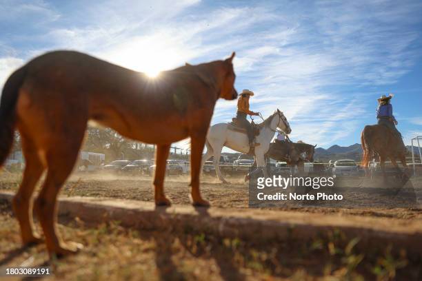 Dog looks on while competitors warm up their horses during the third competition date of the Sonora Rodeo circuit on November 19, 2023 in Moctezuma,...