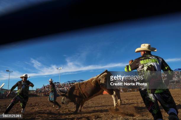 Rodeo clowns try to control a bull during the third competition date of the Sonora Rodeo circuit on November 19, 2023 in Moctezuma, Mexico.