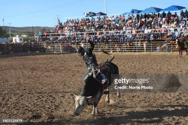 Gama Salazar competes in the bull riding event during the third competition date of the Sonora Rodeo circuit on November 19, 2023 in Moctezuma,...