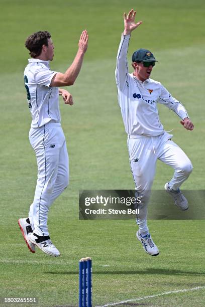 Mitch Owen and Jordan Silk of the Tigers celebrate the wicket of Moises Henriques of the Blues during the Sheffield Shield match between Tasmania and...