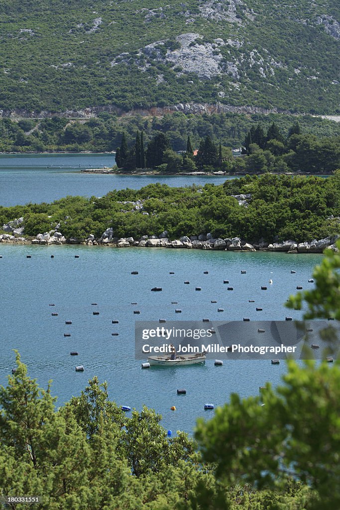Mali Ston, Oyster farming