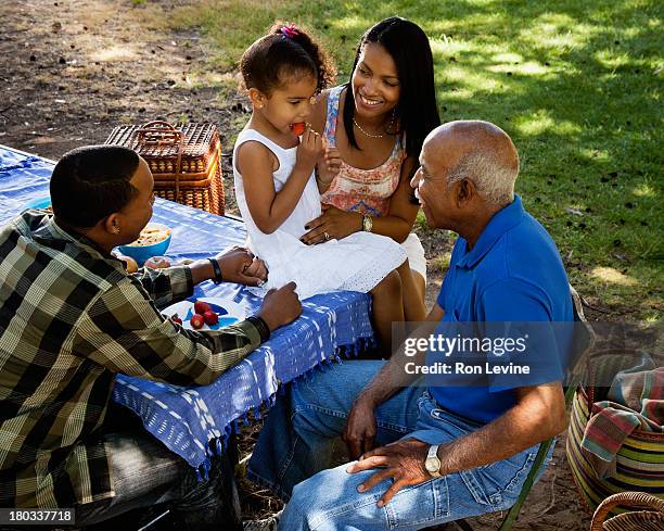 mixed generation family at a picnic - afro-caribbean ethnicity stock pictures, royalty-free photos & images