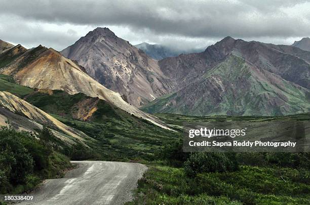 denali 3. alaska - denali highway stock pictures, royalty-free photos & images