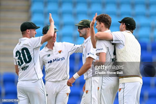 Lawrence Neil-Smith of the Tigers celebrates with teammates Oliver Davies of the Bluesthe wicket of during the Sheffield Shield match between...