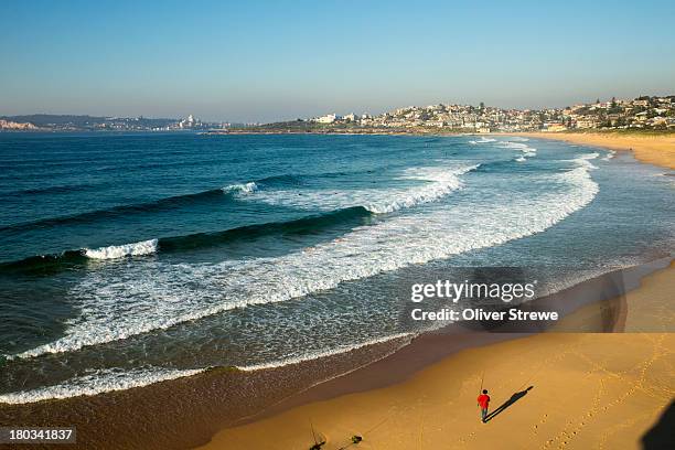 fisherman on north curl curl beach - south curl curl beach stock pictures, royalty-free photos & images