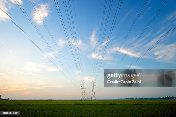 transmission line - electricity tower stock pictures, royalty-free photos & images