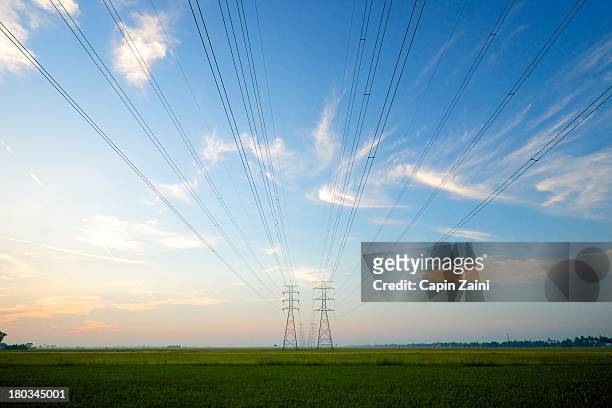 transmission line - 電源纜 個照片及圖片檔