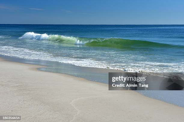 pristine beach - atlantic blue tang stock pictures, royalty-free photos & images