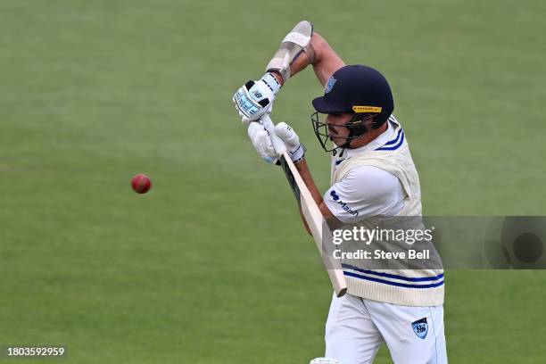 Ben Dwarshuis of the Blues bats during the Sheffield Shield match between Tasmania and New South Wales at Blundstone Arena, on November 20 in Hobart,...