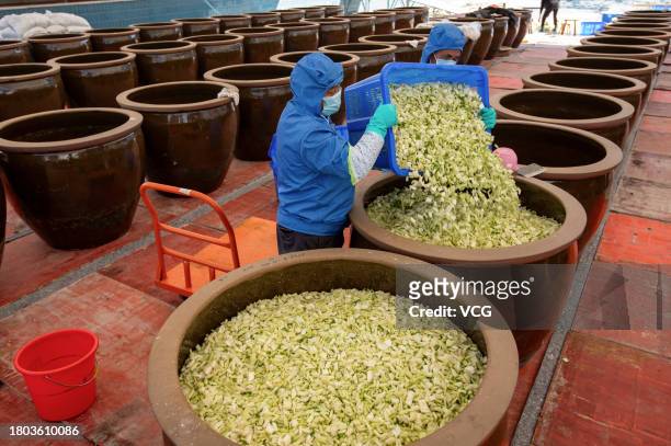 Farmers pickle Chinese cabbage in a big pot on November 19, 2023 in Jinhua, Zhejiang Province of China.